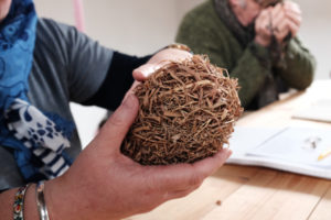 A pair of hands hold a bird's nest at a table in one of Susan's nature-themed writing workshops.